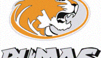 Article_thumb_pumas_logo
