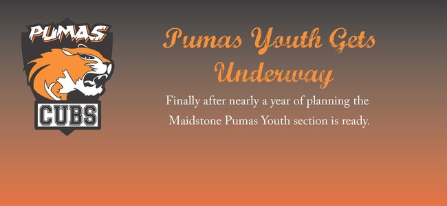 Carousel_website_banner_pumas_cubs